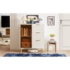 ELJGET Modern Storage Cabinet with Glass Door & 3 Drawers, Adjustable Feets, Console Table for Living Room, Entryway, Dining Room - 3 of 4