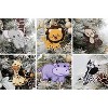 Darware Plush Animal Christmas Tree Ornaments 6pc Set; Holiday Craft Baby Shower Decoration - 4 of 4