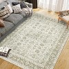 Acekool Machine Washable Area Rug, Non Slip Vintage Floral Carpet for Living Room, Bedroom - 2 of 4