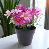 Unique Bargains Artificial Plants Cosmos Plastic 4.33"x4.33"x7.87" 1 Pc - 2 of 4