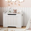 Storage Chest, 24.8" Toy Chest for Boys Girls, Kids Wood Large Toy Box, Storage Bench Trunk with Safety Hinge - 3 of 4