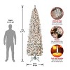 9' Prelit Pencil Slim Flocked Hinged Acacia Artificial Christmas Tree Clear Lights - National Tree Company - 4 of 4