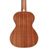 Alvarez AU90T Artist Series Tenor Ukulele - 2 of 4