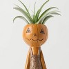 Halloween It's Giving Ghoul Pumpkin Live Houseplant - Good Little Garden™ - 2 of 4