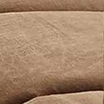 gray, ivory, tan, light slate