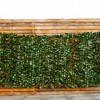 Aghana Digitals PE Artificial Ivy Hedge Screen, Decorative Privacy Fence with Tightly Attached - 4 of 4