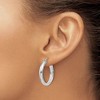 Black Bow Jewelry 3.75mm x 25mm Polished 14k White Gold Domed Round Tube Hoop Earrings - 3 of 4