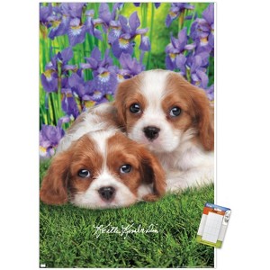 Trends International Keith Kimberlin - Cavalier King Charles Puppies Unframed Wall Poster Prints - 1 of 4