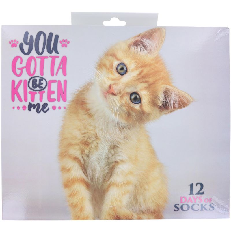 Hypnotic Socks You Gotta Be Kitten Me Womens 12 Days of Socks in Advent Gift Box, 1 of 6