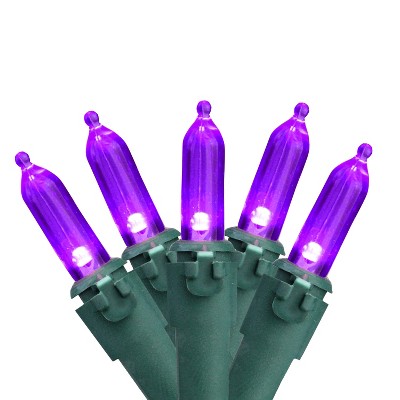 Northlight 50ct LED Mini String Lights Purple - 16.25' Green Wire