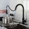 Chery Life Kitchen Faucet with Pull Down Sprayer, Black - 4 of 4