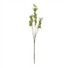 Leaf Foliage Branch (Set of 6) - 3 of 4