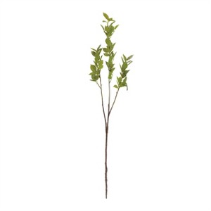 Leaf Foliage Branch (Set of 6) - 1 of 2