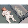 Best Buy: Romp & Roost LUXE Nest Waterproof Fitted Sheet with Divider for  Twin Babies Gray RRLNESTDS