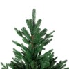 Northlight Real Touch™️ Full Alamosa Fir Artificial Christmas Tree - 6.5' -Unlit - 3 of 4