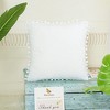 PiccoCasa Velvet Pompoms Decor Square Solid Soft Cushion Covers Pillow Covers 1 Pc - 4 of 4