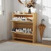 Rattan Shoe Cabinet with 2 or 4 Flip Drawers, Free Standing Wooden Shoe Storage Organizer Cabinet with Adjustable Shelves for Entryway,Hallway,Foyer - 4 of 4