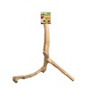 Prevue Pet Products 24 inch Y-Branch Coffea Wood Bird Perch 1053 - 2 of 2