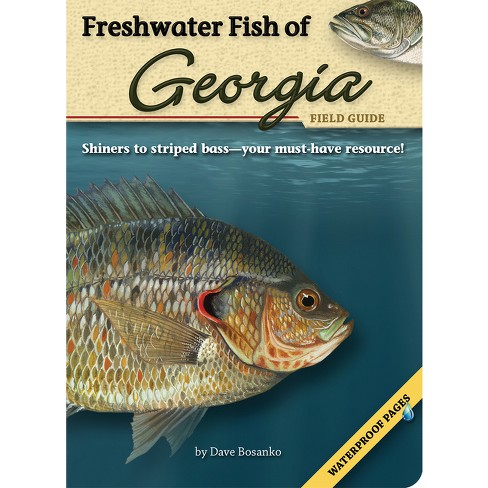 Freshwater Fish Of Georgia Field Guide - (fish Identification Guides ...