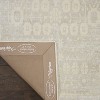 Nourison Home Desert Skies DSK05 Beige/Ivory Indoor Area Rug - 3'9 x 5'9 - 4 of 4