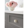 Amerock Kane Cabinet or Furniture Knob - 3 of 4
