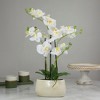 Northlight Real Touch™️ Artificial Orchid Plant in a White Oval Pot - 22" - White and Yellow - 2 of 4