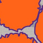clemson tigers