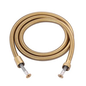 WOWOW 63 in. Stainless Steel Replacement Shower Hose in Chrome - 1 of 4