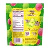Fruit Riot Frozen Sour Candy Watermelon Warheads Grapes - 8oz - 2 of 4