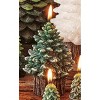 tagltd Spruce Small Rustic Tree Candle - 3 of 3