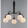 Maxim Lighting Coraline 5 - Light Chandelier in  Black - 4 of 4