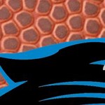 carolina panthers