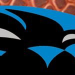 carolina panthers