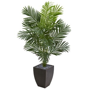 Nearly Natural 5.5’ Paradise Artificial Palm Tree in Black Planter - 1 of 1