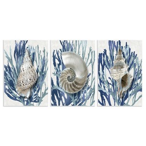 Stupell Industries Trio of Shells & Coral, 13" x 19" - 1 of 4