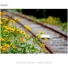 Sony G-Series E PZ 18-105 mm F4 G OSS Lens for Sony (SELP18105G) - 4 of 4