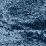 light blue/blue