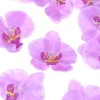 Unique Bargains Silk Plastic Durable Handcrafted Artificial Orchid Flower Heads 20 Pcs - 2 of 4