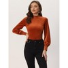 Allegra K Women's Velvet Crew Neck Puff Long Sleeve Rib Velour Blouse - 4 of 4
