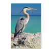 Trademark Fine Art -Mike Jones Photo 'Blue Heron' Canvas Art - 2 of 3