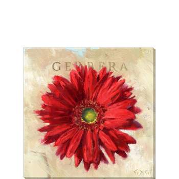 Sullivans Darren Gygi Red Gerbera Canvas, Museum Quality Giclee Print, Gallery Wrapped, Handcrafted in USA