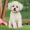 Collections Etc Realistic Bichon Frisé Outdoor Garden Stake NO SIZE - 2 of 2