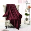 PiccoCasa 330 GMS Microfiber Polyester Luxury Flannel Fleece Soft Bed Blankets - 3 of 4