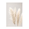 Trademark Fine Art -1x Studio III 'Pampas Grass Grey 02' Canvas Art - 2 of 4