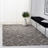 Arizona Shag ASG743 Power Loomed Indoor Rug -Safavieh - 2 of 4