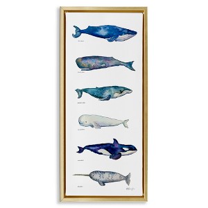 Stupell Industries Maritime Sea Life Chart, 11" x 25" - 1 of 4