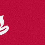 utah utes