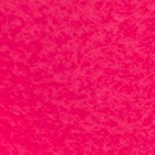 neon pink