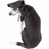 Pet Life Cap-Tivating UV Protectant Adjustable Fashion Dog Hat Cap, LG, Black - 3 of 4