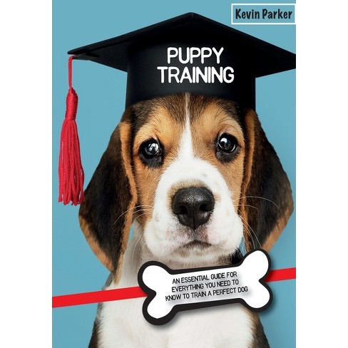 when should you start puppy training